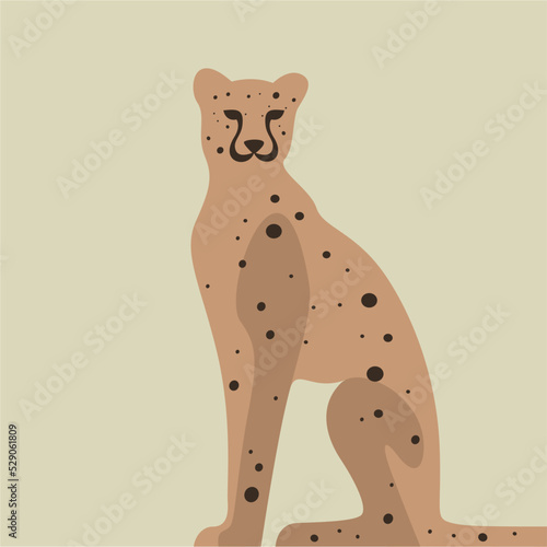 Jaguar Leopard Cheetah vector illustration