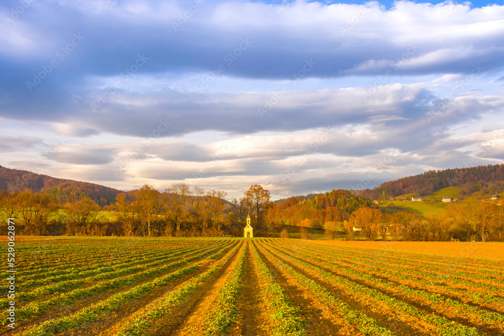 Fototapeta premium Agricultural fields and yellow little chapel in the charming town of Rein (famous for the beautiful Rein Abbey) near Graz, Steiermark, Austria