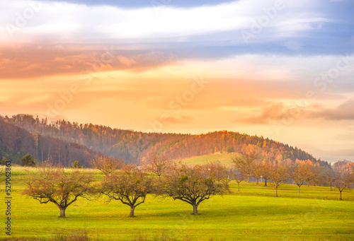Autumn landscape with picturesque trees and colorful sunset sky