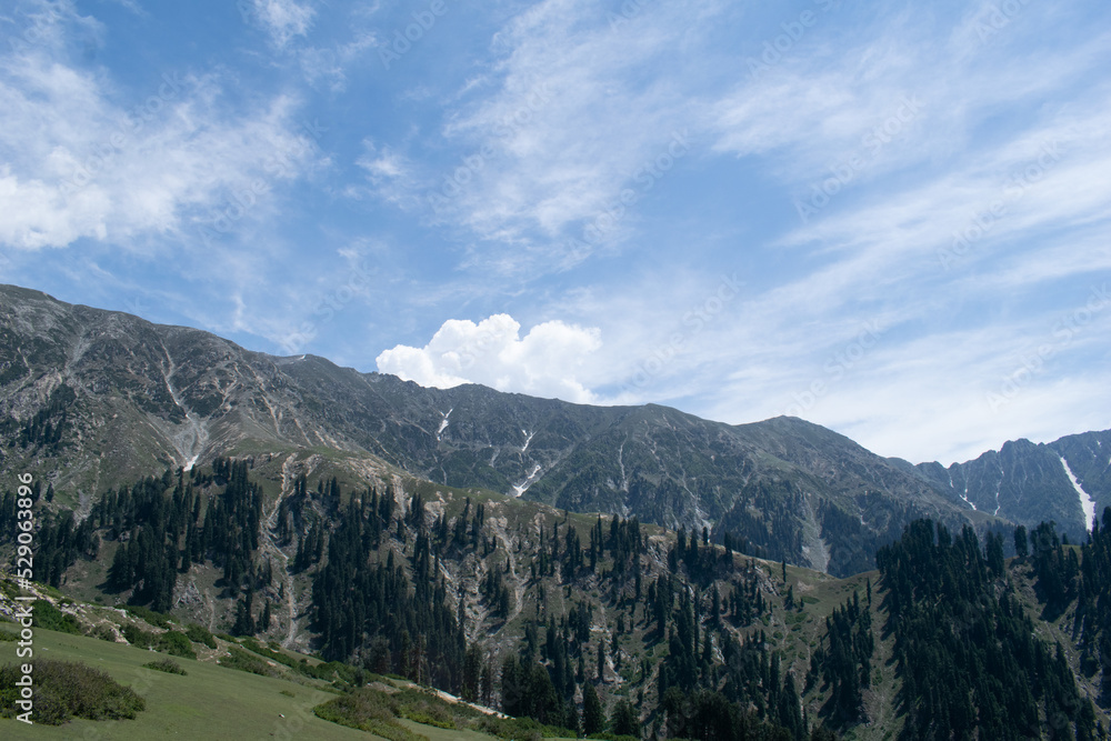 Obraz premium landscape with clouds