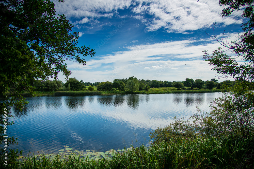 plein air over water with greenery