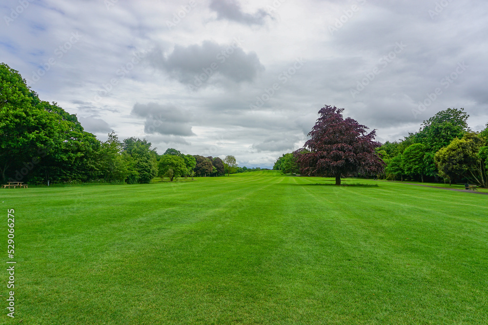 Kilkenny, Ireland: The Park at Kilkenny Castle. The castle was built in 1195 to control a fording-point of the River Nore. Kilkenny, Ireland: The Park at Kilkenny Castle. The castle was built in 1195 to control a fording-point of the River Nore.