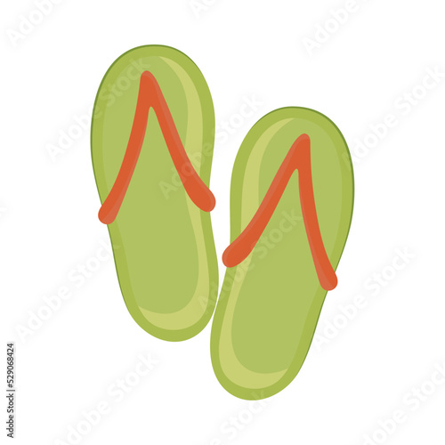 flip flops isolated icon