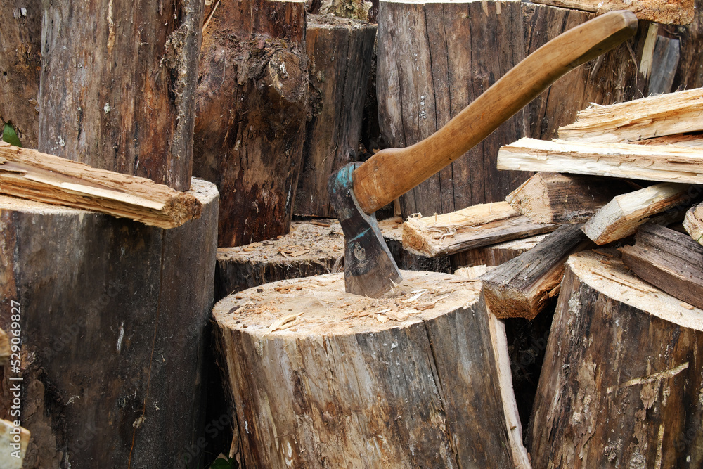 Preparation of firewood for furnace heating. Sawn tree trunks for the fireplace Preparation of firewood for furnace heating. Sawn tree trunks for the fireplace