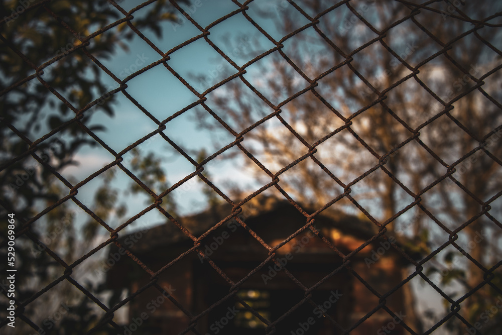 Close-up fence photo Close-up fence photo