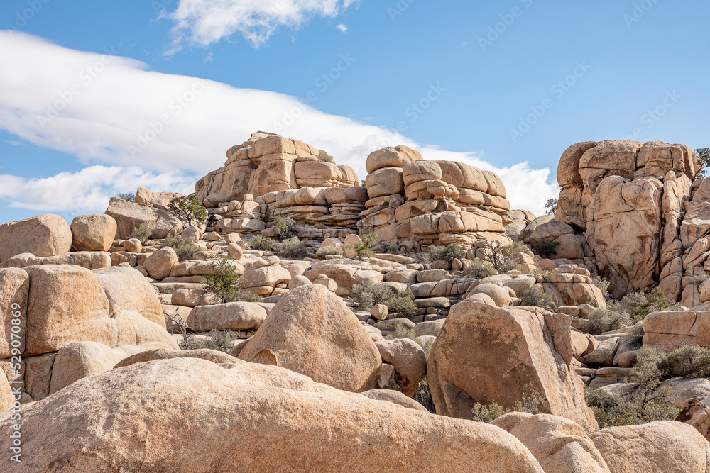 rocks in the desert