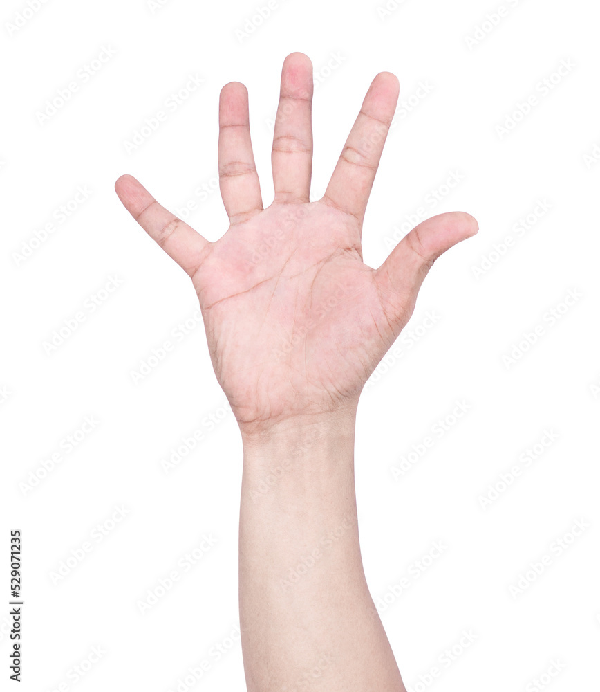 hand and showing 5 fingers gesture isolate hand and showing 5 fingers gesture isolate