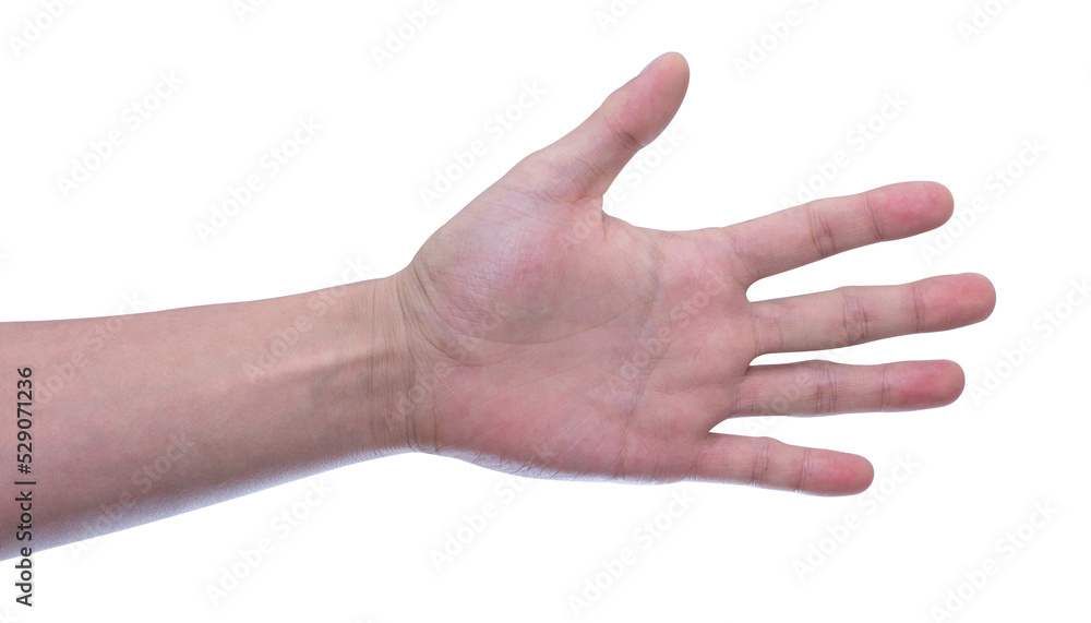 hand and showing 5 fingers gesture isolate hand and showing 5 fingers gesture isolate