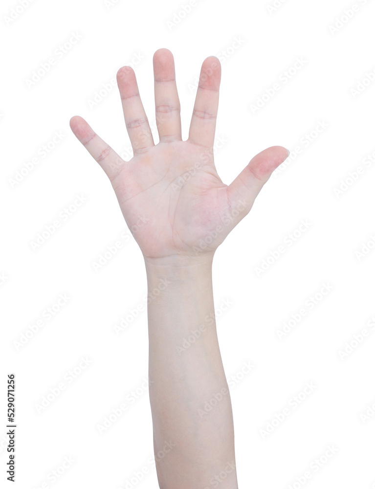 hand and showing 5 fingers gesture isolate hand and showing 5 fingers gesture isolate