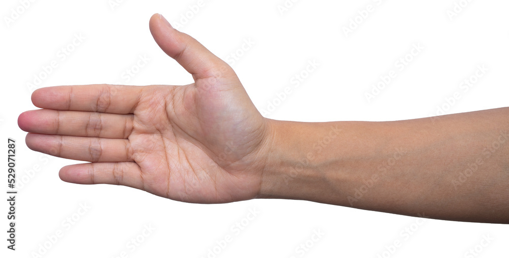 hand and showing 5 fingers gesture isolate hand and showing 5 fingers gesture isolate