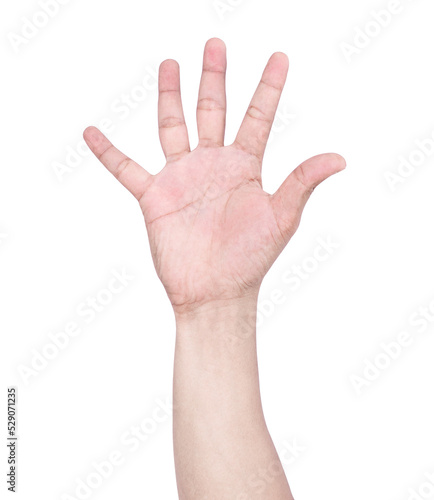  hand and showing 5 fingers gesture isolate