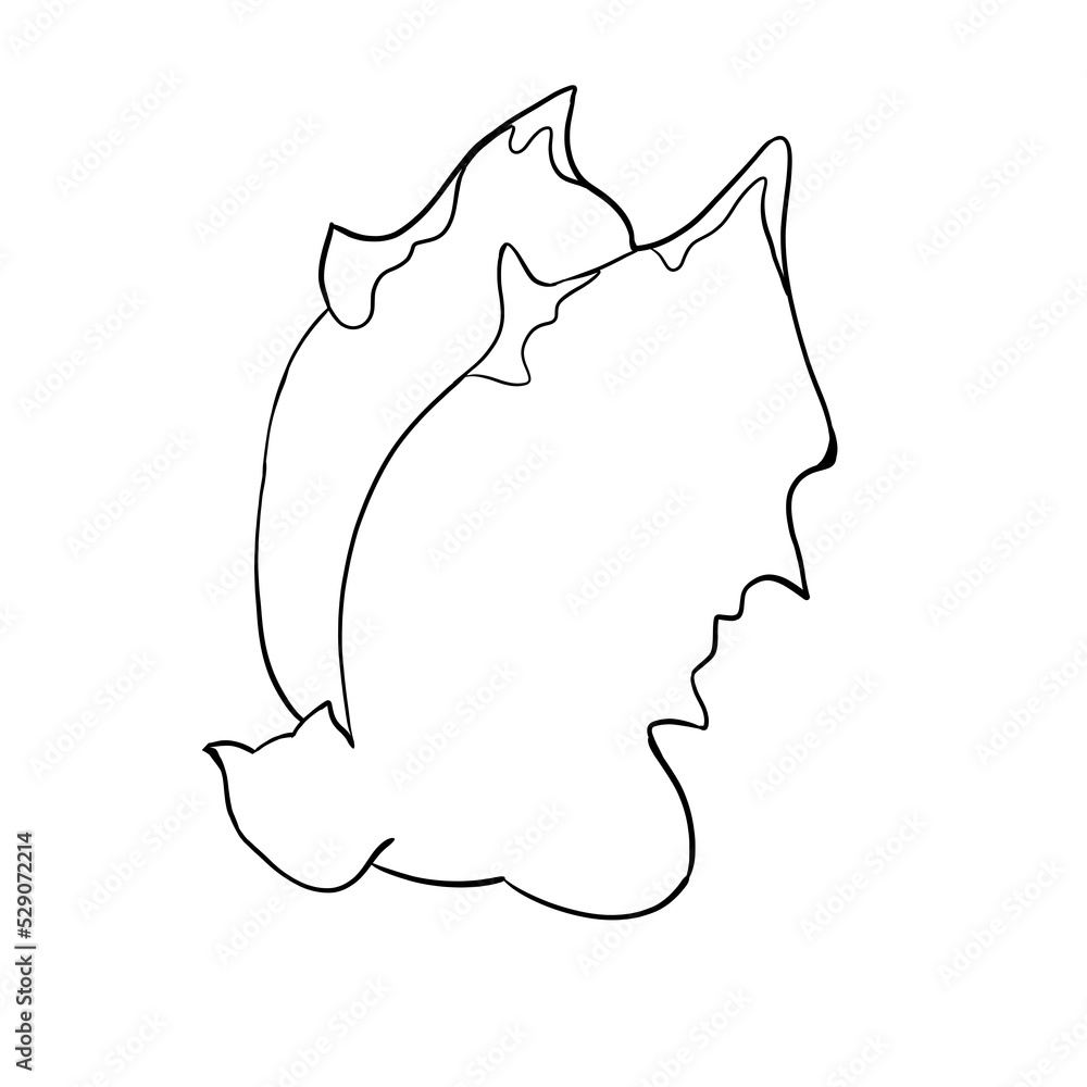 Bat for halloween, line illustration Bat for halloween, line illustration