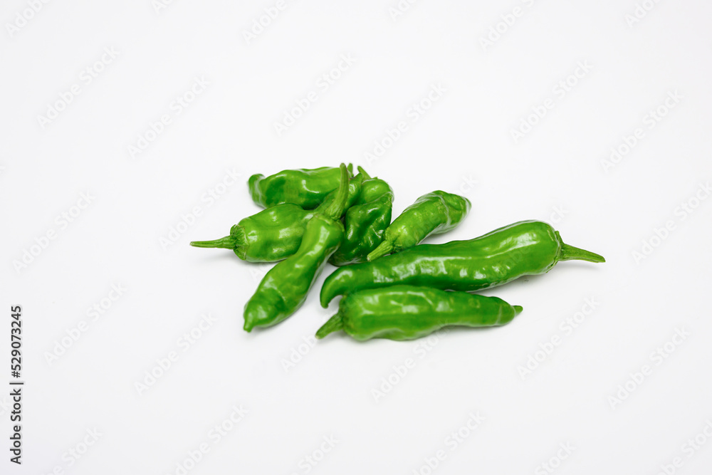 家庭菜園のシシトウ