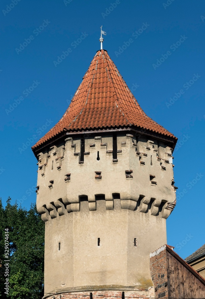 Coopers or Carpenters' Tower, Turnul Dulgherilor, Sibiu, Romania, Europe