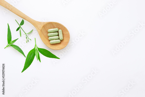 Andrographis paniculata powder five capsule in wooden spoon and tip andrographis paniculata plant on white paper background , top view , flat lay.