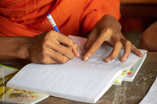 Classes for young monks at Sangker Pagoda, Soc Trang, Vietnam photo