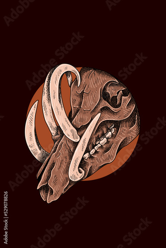 Wild boar skull vector illustration