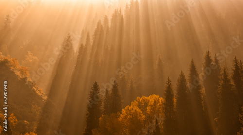 Rays of light and mixed autumn forest in the mountains
