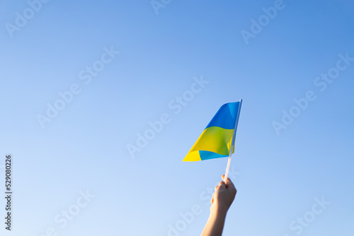 Ukraine's Independence Day. Ukrainian child boy in white t shirt with yellow and blue flag of Ukraine in field. Flag of Ukraine. Constitution day. Stand with Ukraine and Save