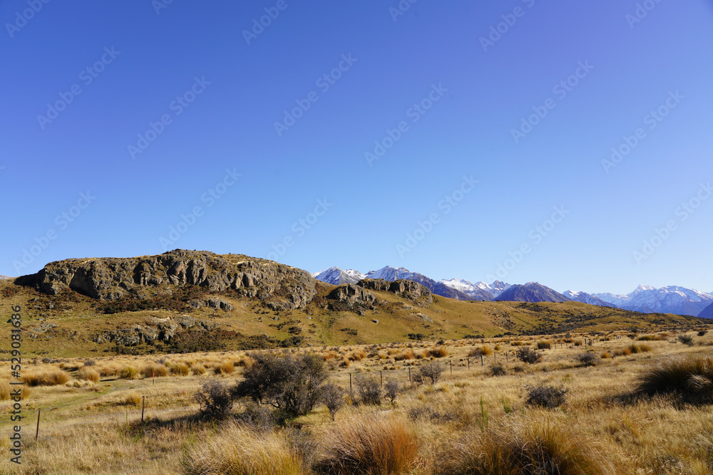 landscape in the mountains new zealand