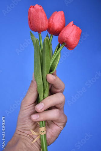 Bouquet of tulips in a hand