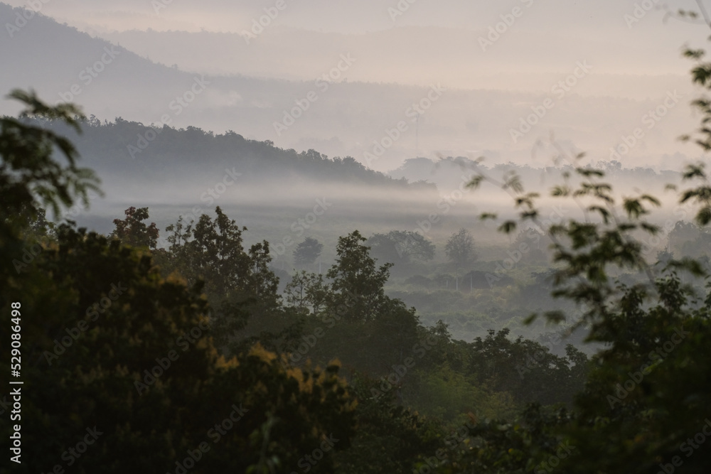 Scenic mountain and cloud landscape.
Beautiful landscape of the forest and cloud background in a mist tropical green plants in a jungle.