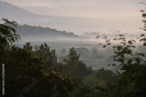 Scenic mountain and cloud landscape. Beautiful landscape of the forest and cloud background in a mist tropical green plants in a jungle.