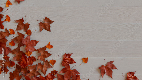 Wallpaper Mural White wood Tabletop with leaf border. Torontodigital.ca