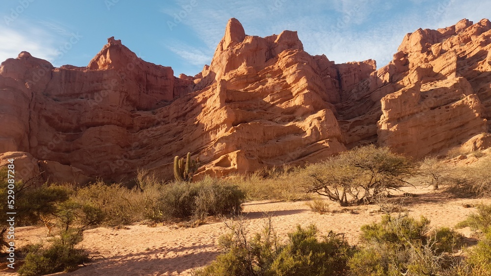 Fototapeta premium park