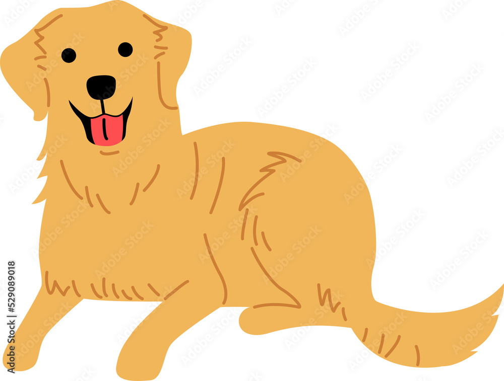 golden retriever illustration golden retriever illustration