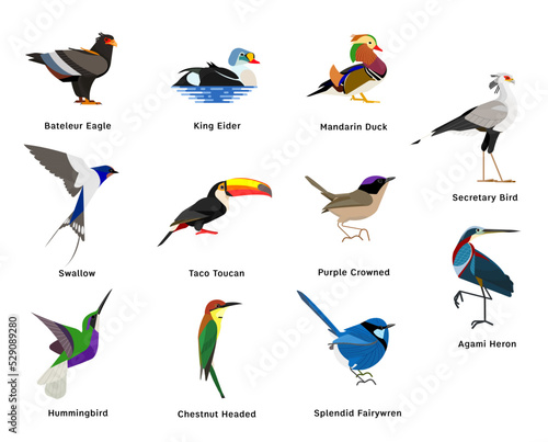Set of Birds , Bateleur Eagle , King Eider , Mandarin Duck , Secretary , Swallow , Toucan , Purple Crowned , Hummingbird , Chestnut Headed , Splendid , Heron