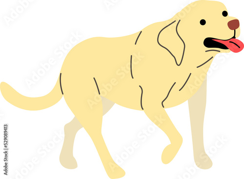 labrador retriever illustration