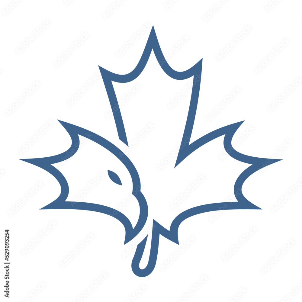 eagle maple eagle maple