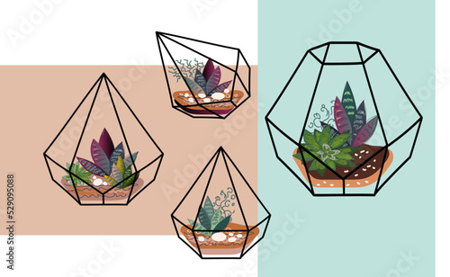 Modern glass florarium, geometric terrarium with succulents and cactus.  japanese decoration, home gardening. Vector doodle illustration.