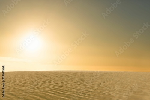 Desert scene