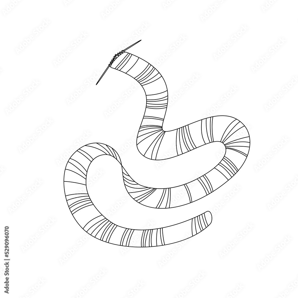 Fototapeta premium Cozy long doodle striped knitted scarf with needles. Cute warm clothing. Flat vector cartoon illustration, clipart.