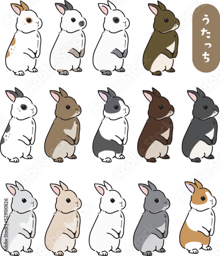 ウサギが立ち上がったイラスト