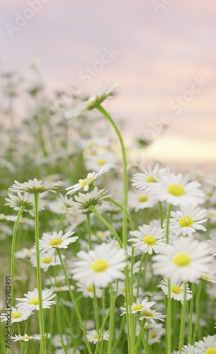 Full bloom seasonal nature landscape scene 3D rendering plant and flower wallpaper backgrounds