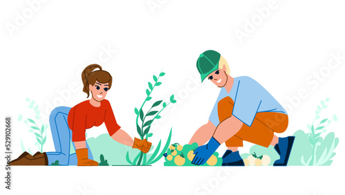 couple gardering vector. man woman summer, happy nature, lifestyle young family, home leisure couple gardering character. people flat cartoon illustration
