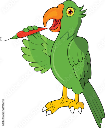 Parrot Eating Red Chili Vector Illustration Graphic