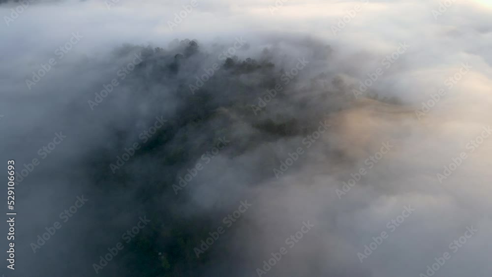 The morning fog is rolling between mountains over trees tinted in autumn colors The morning fog is rolling between mountains over trees tinted in autumn colors