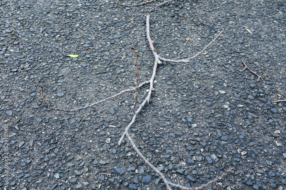 Obraz premium wood chips