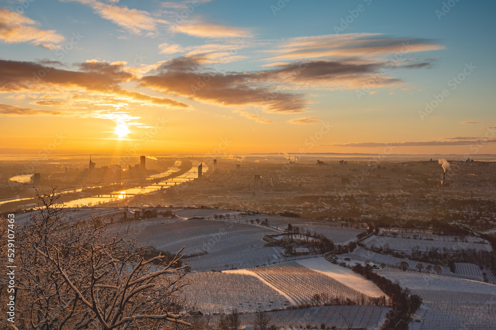 Aerial city view of Vienna in Austria during winter.
