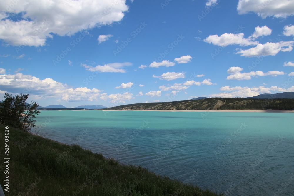 View Of Lake Abraham