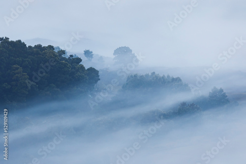 misty morning in the mountains