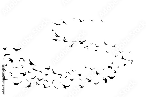 Flying birds. Decoration element from scattered silhouettes.