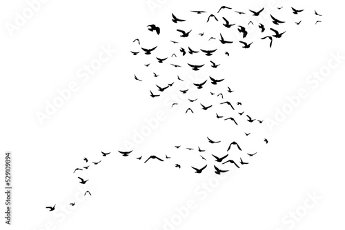 Flying birds. Decoration element from scattered silhouettes.
