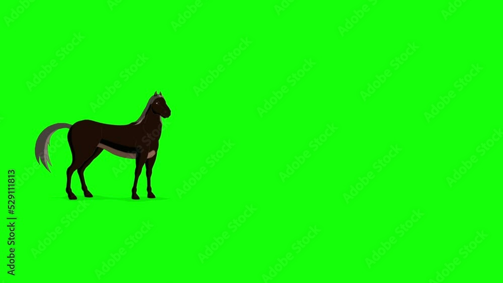 Black Horse walks back and forth. Handmade animated HD footage isolated on green screen Black Horse walks back and forth. Handmade animated HD footage isolated on green screen