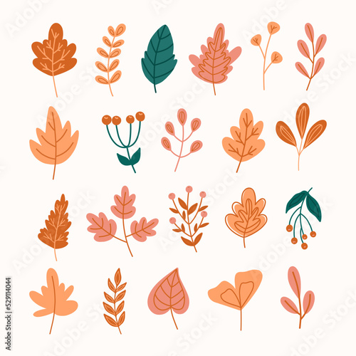 Set of autumn elements.Autumn leaves.Fall.Hand drawn autumn leaves
