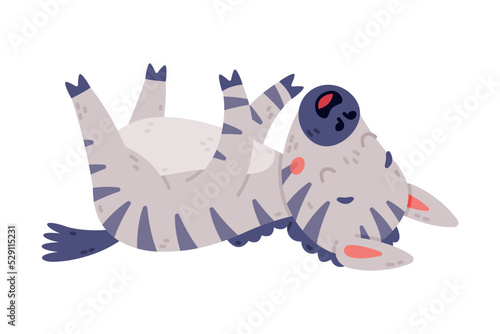 Funny Zebra with Black-and-white Striped Coat Rolling on Its Back and Neighing Vector Illustration